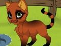 Logħba Kitten tiegħi  onlajn