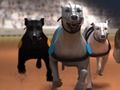 Logħba Racing Greyhound onlajn