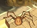 Logħba Spider Simulator: Belt tal-għaġeb onlajn Logħba Spider Simulator: Belt tal-għaġeb onlajn