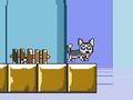 Logħba Sur Jump Husky  onlajn