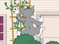 Logħba Tom und Jerry: Wasserbomben Wahnsinn onlajn