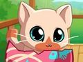 Logħba Pocket Pets Kitty Cat tiegħi  onlajn