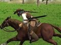 Logħba Simulatur tal-Horse Riding  onlajn