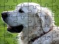 Logħba Jigsaw Puzzle Annimali Domestikati  onlajn
