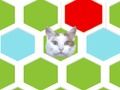 Logħba Nassa Il-Kat  onlajn
