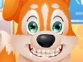 Logħba Dentist ħelu tal-Puppy  onlajn