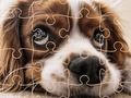 Logħba Puzzle tal-klieb umoristiċi onlajn Logħba Puzzle tal-klieb umoristiċi onlajn