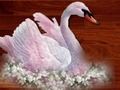 Logħba Puzzle Għasafar Imħabba  onlajn