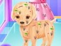 Logħba Kirurġija tal-Puppy Baby Elsa onlajn Logħba Kirurġija tal-Puppy Baby Elsa onlajn