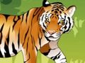 Logħba Angry Tiger Koloranti  onlajn