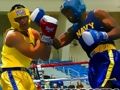 Logħba Irrabjata Boxers Ġlieda onlajn Logħba Irrabjata Boxers Ġlieda onlajn