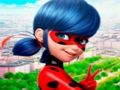 Logħba Ġbir ta 'Jigsaw Puzzle LadyBug  onlajn