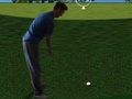Logħba Flash Golf 3D  onlajn