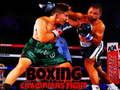 Logħba Ġlieda taċ-Champions tal-Boxing  onlajn