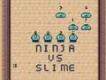 Logħba Ninja vs Slime onlajn