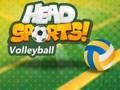 Logħba Volleyball sportiv ewlieni onlajn Logħba Volleyball sportiv ewlieni onlajn