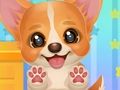 Logħba Adotta l-Puppy Pet Tiegħek  onlajn