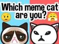 Logħba Liema Cat Meme Int?  onlajn