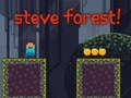 Logħba Steve Forest onlajn