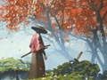 Logħba Riflessjoni Samurai  onlajn