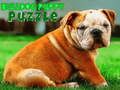 Logħba Puzzle tal-ġriewi Bulldog onlajn