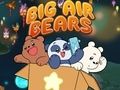 Logħba Big Air Orsijiet  onlajn