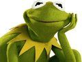 Logħba Ktieb Kulur Għal Kermit iż-Żrinġ  onlajn