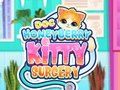 Logħba Dok HoneyBerry Kitty Surgery  onlajn