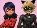 Logħba Ladybug mirakuluż & cat noir jigsaw puzzle onlajn
