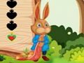 Logħba Squirrel Ħarba  onlajn
