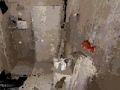 Logħba Okkupat  onlajn