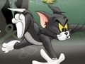 Logħba Tom u Jerry Chase f'Marsh  onlajn