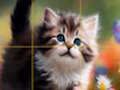 Logħba Qtates li jiżżerżqu Puzzle  onlajn