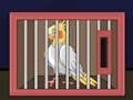 Logħba Ħruġ L-Għasfur Cockatiel  onlajn