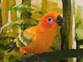 Logħba Puzzle Ħelu Budgie  onlajn