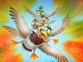 Logħba Migrazzjoni Flappy Duck  onlajn