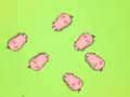 Logħba Salv Il Piggies  onlajn