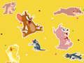 Logħba The Tom and Jerry Show Sibha!  onlajn