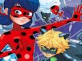 Logħba Ladybug Sib id-Differenzi  onlajn