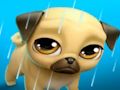Logħba Pet Virtwali tiegħi Louie il-Pug  onlajn