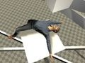 Logħba Test Ragdoll  onlajn