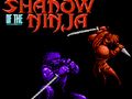Logħba Dell tal-Ninja  onlajn