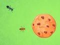 Logħba Ant vs Cookie onlajn