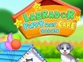 Logħba Salon Labrador Puppy Daycare onlajn
