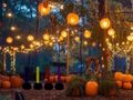 Logħba Ħarba sabiħa tal-ġnien tal-Halloween  onlajn