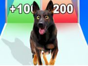 Logħba Kelb Evoluzzjoni Run  onlajn
