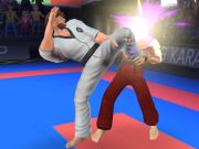 Logħba Ġellied tal-Karate  onlajn