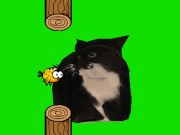Logħba Għasfur flappy għażil oia oia qattus  onlajn
