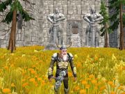 Logħba Ax tal-Anzjani Dwarven Fury  onlajn