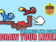 Logħba Squirils u ġandar  onlajn